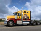 american truck simulator