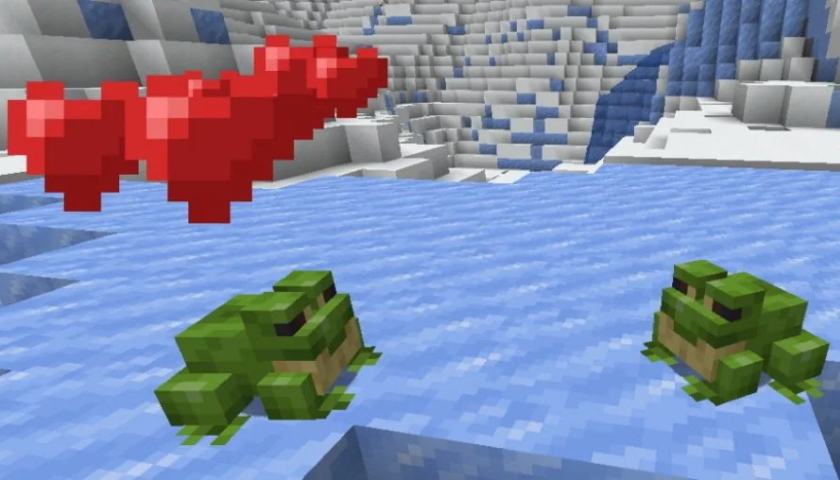 Minecraft Frogs