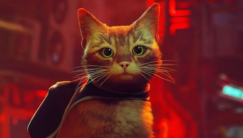 Stray se dočká animovaného filmu Stray se dočká animovaného filmu