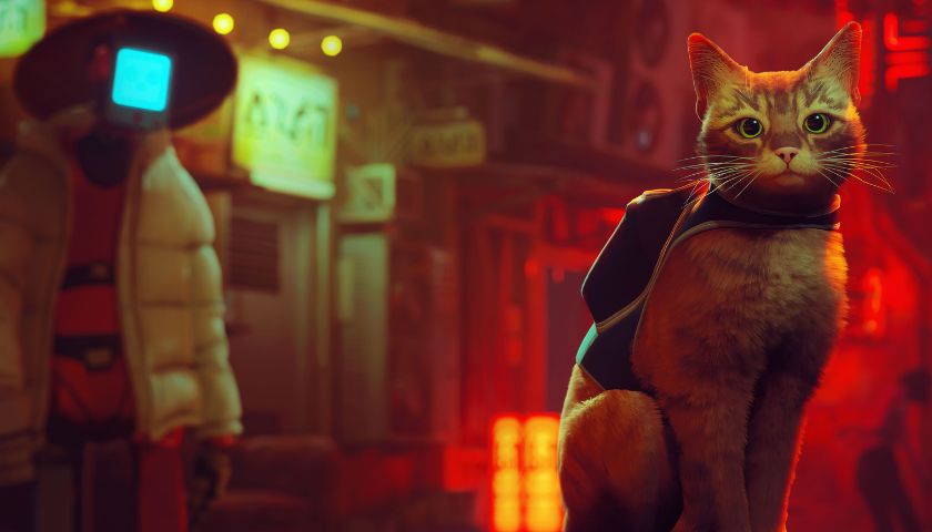 Kočičí adventura Stray dorazí na Xbox